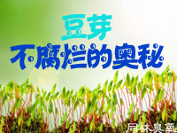 臭氧發(fā)生器在豆芽生產(chǎn)中的應用