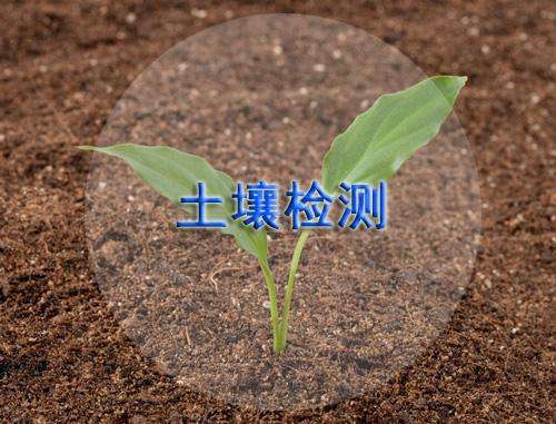 土壤污染觸目驚心 土壤成分檢測必不可少