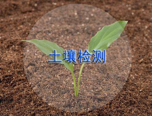 土壤污染檢測 土壤污染檢測
