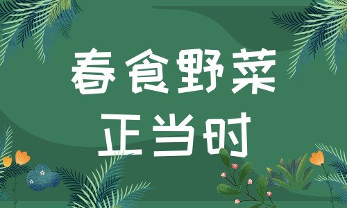食品安全不能松懈 春暖花開采食野菜要慎重 食品安全不能松懈 春暖花開采食野菜要慎重