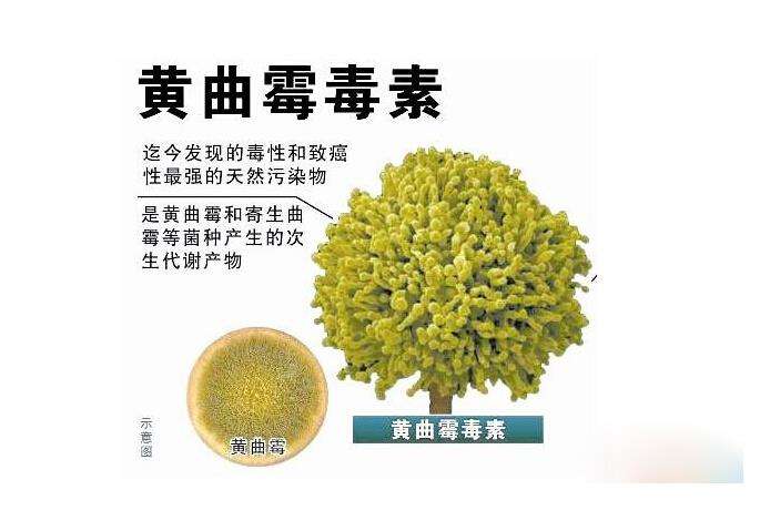 黃曲霉毒素B1、B2的色譜分析報告及相關內(nèi)容介紹