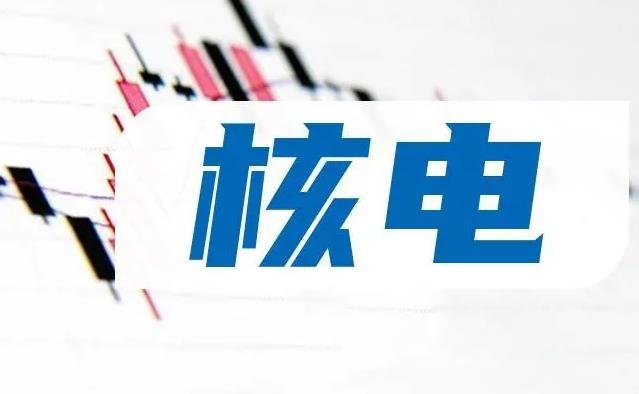 核電高濃度硼酸中的陰離子測(cè)定 離子色譜法