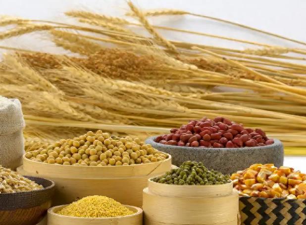 食品行業(yè)的兩項(xiàng)離子色譜法標(biāo)準(zhǔn)起草中